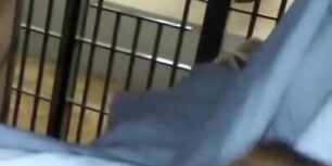 Masturbating while I wait in jail