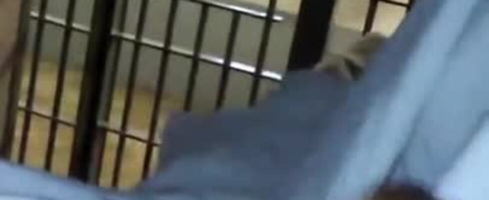 Masturbating while I wait in jail