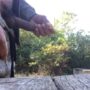 Rubbing my cock at the park