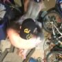 Fucking my hot horny neighbor in his garage