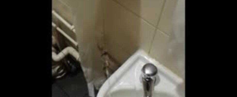 Leaving a huge load on a public bathroom sink