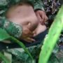 Venezuelan soldier masturbating in the bushes