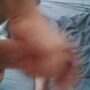 French guy with a big fat foreskin