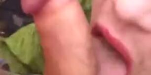Bear sucking a huge twink cock in the woods