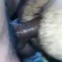 Huge latin cock bumping a huge ass hairy bear