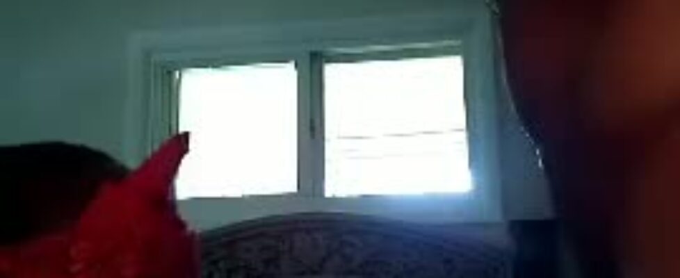 Remembering jail times thug giving sloppy blowjob