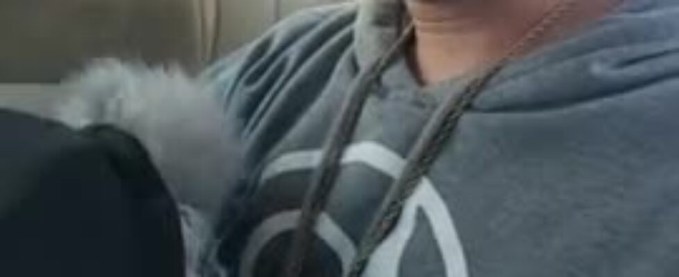 Young dominican twink getting a facial from a horn new yorker