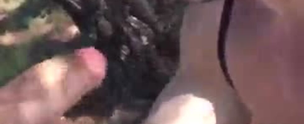 Sucking a tasty latin macho in the park