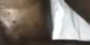 Hairy black ass receiving long strokes from a huge fat cock